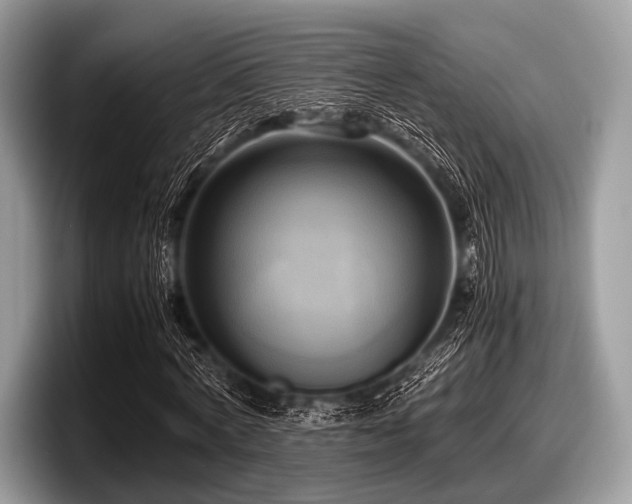 X0000097860772200803211253