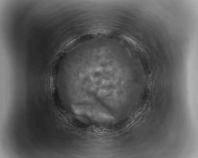 X0000097860774200803211253