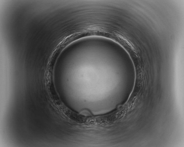 X0000097860776200803211253