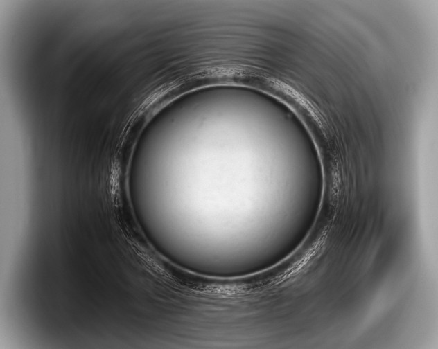 X0000097860778200803211253