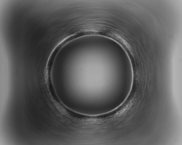 X0000097860779200803211253