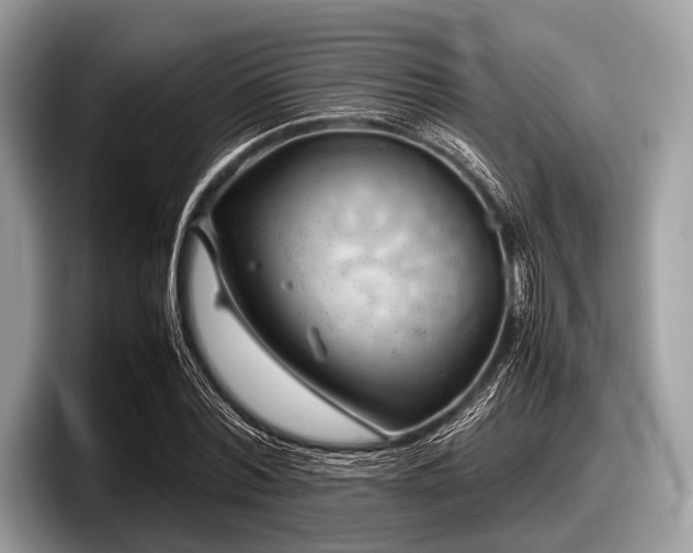 X0000097860780200803211253