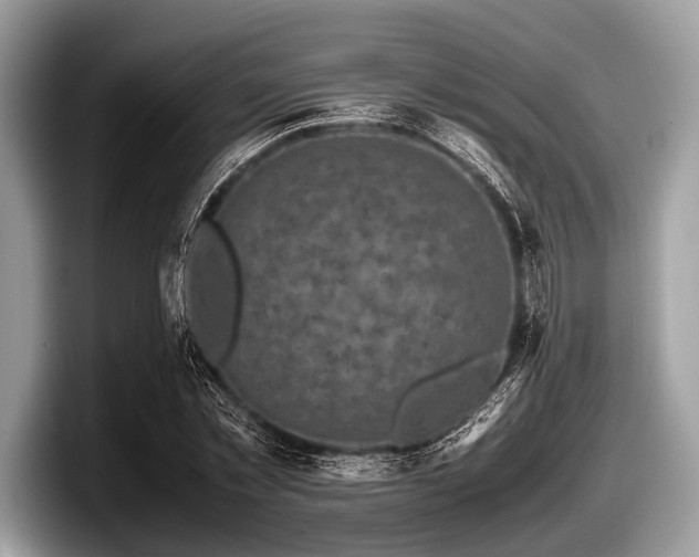 X0000097860781200803211253