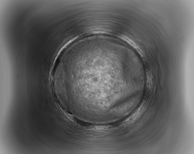 X0000097860782200803211253