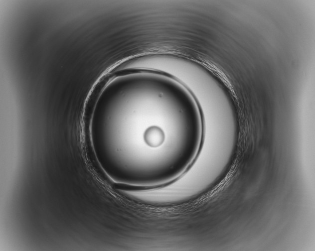 X0000097860784200803211253