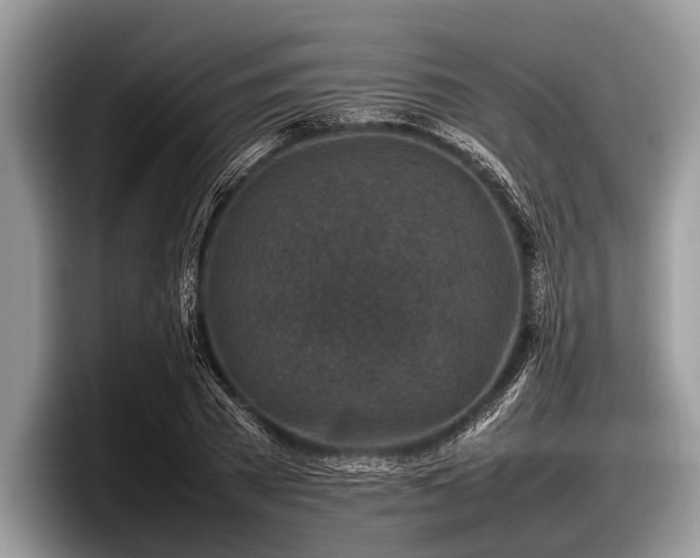 X0000097860785200803211253