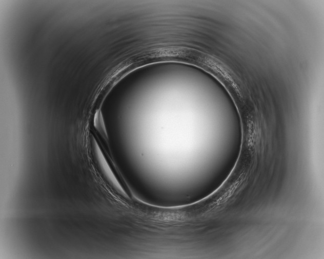 X0000097860786200803211253