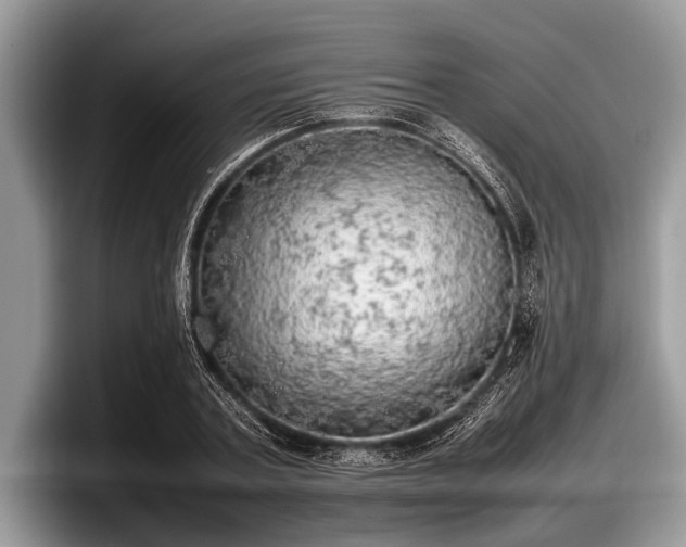 X0000097860787200803211253