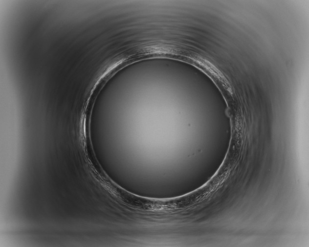 X0000097860790200803211253