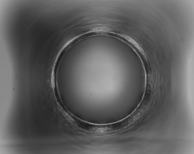 X0000097860791200803211253