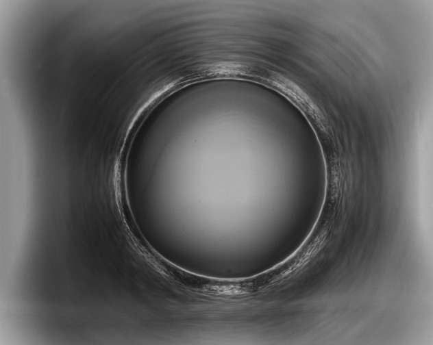 X0000097860798200803211253