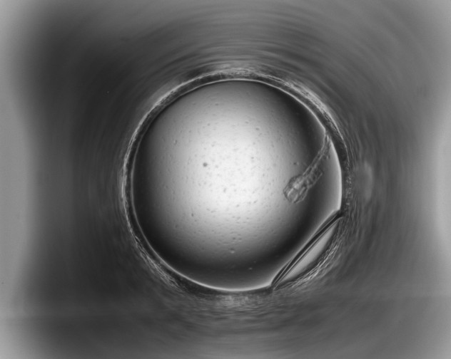 X0000097860799200803211253