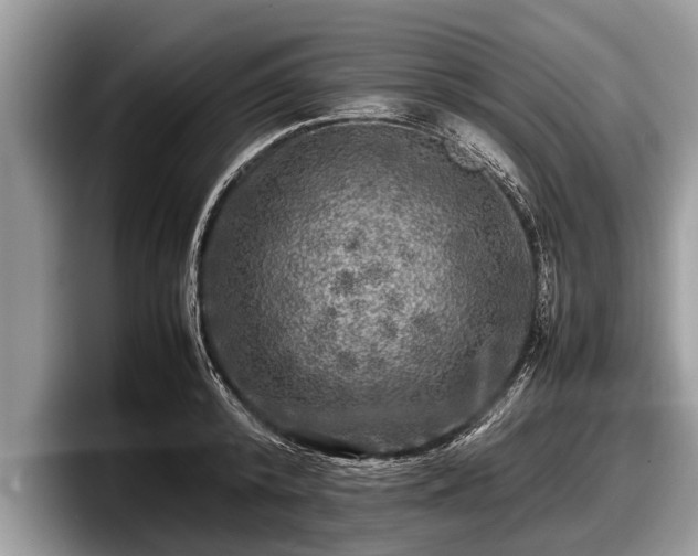 X0000097860800200803211253