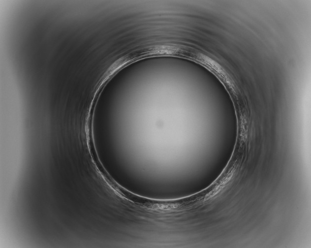 X0000097860802200803211253