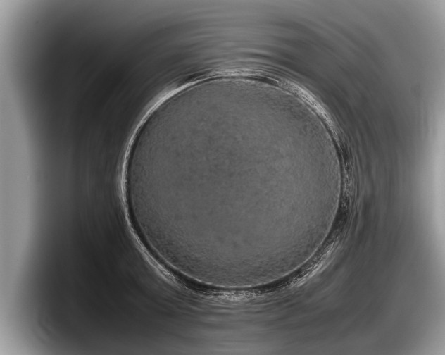 X0000097860803200803211253