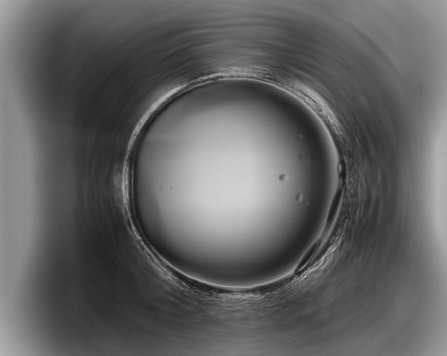 X0000097860804200803211253