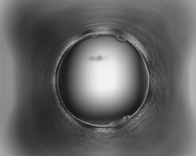 X0000097860805200803211253