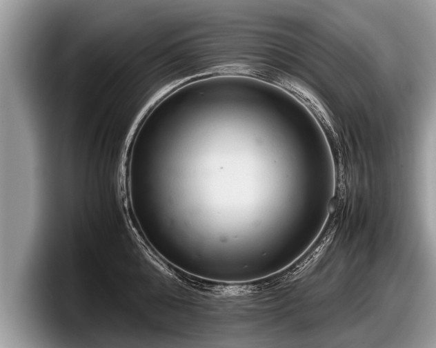 X0000097860808200803211253