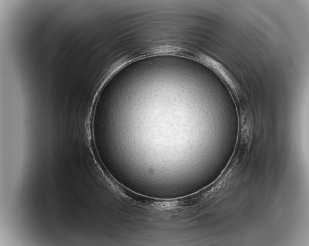 X0000097860810200803211253