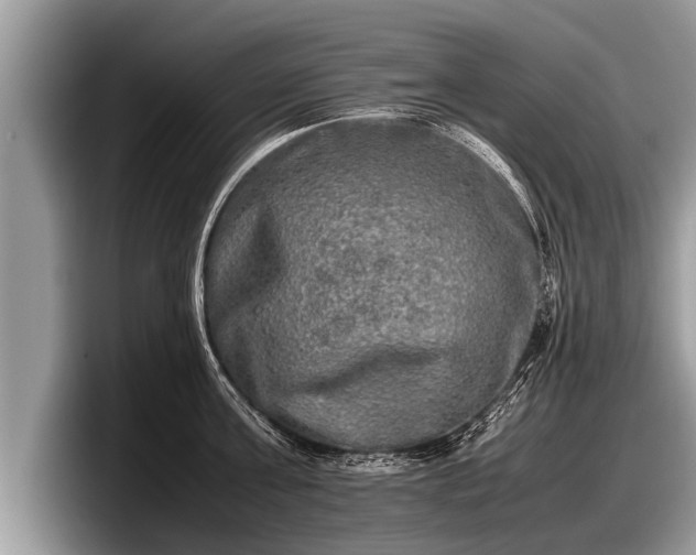 X0000097860811200803211253