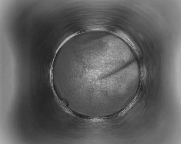 X0000097860814200803211253