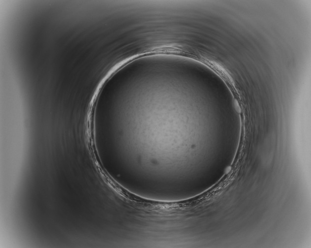 X0000097860816200803211253