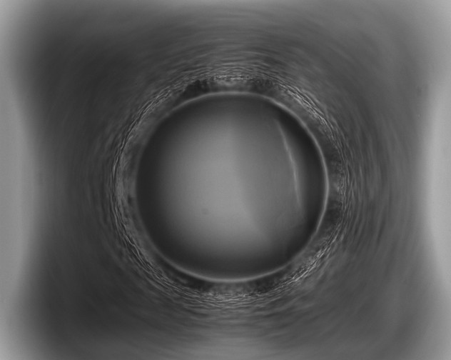 X0000097860817200803211252