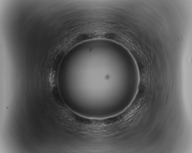 X0000097860818200803211252