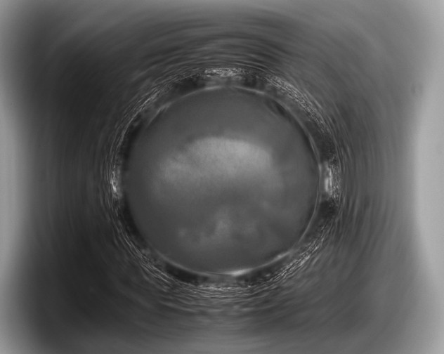 X0000097860819200803211252