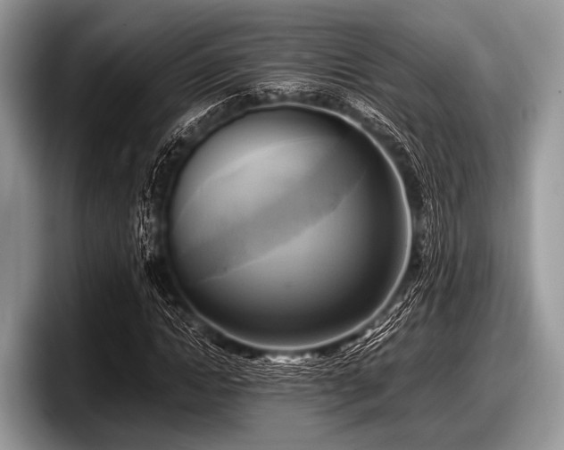 X0000097860822200803211252