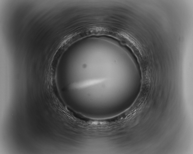 X0000097860823200803211252