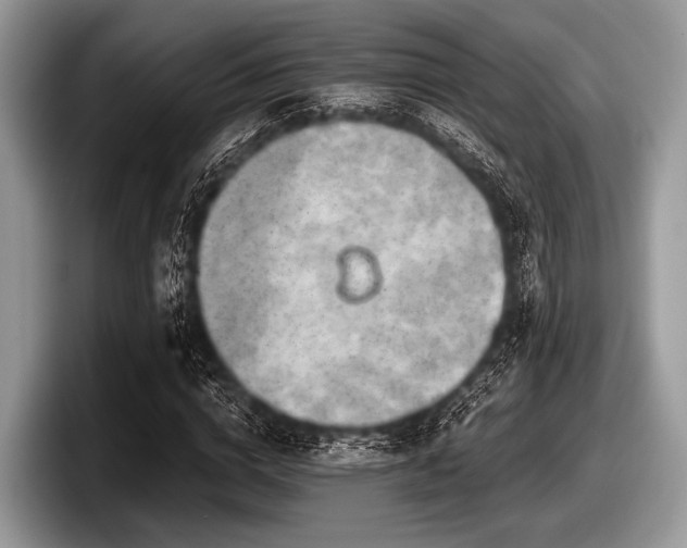 X0000097860824200803211252