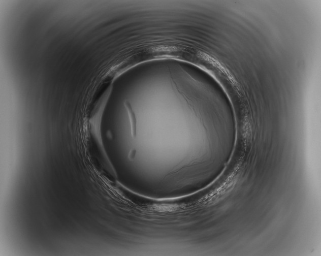 X0000097860825200803211252