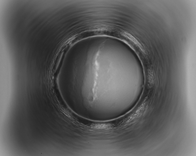 X0000097860826200803211252