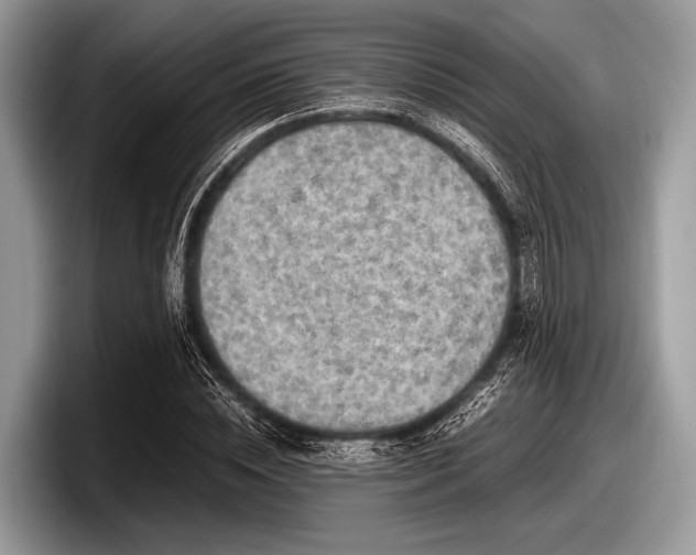 X0000097860828200803211252