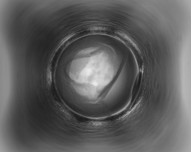 X0000097860829200803211252