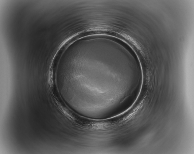 X0000097860830200803211252