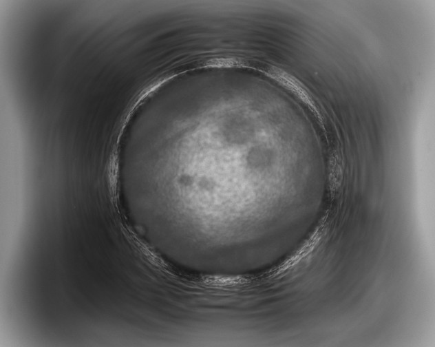 X0000097860831200803211252