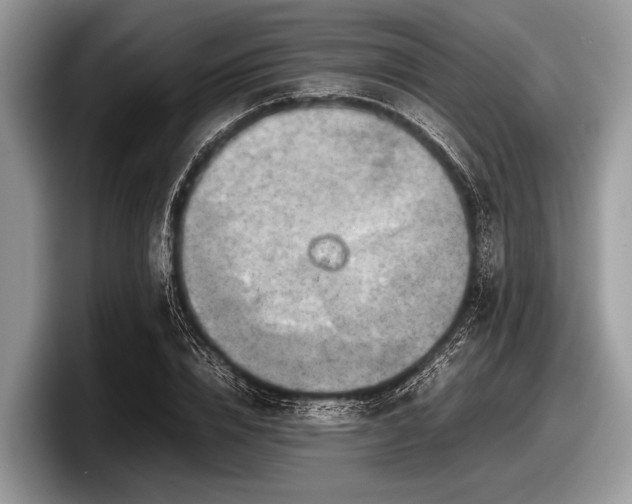 X0000097860832200803211252