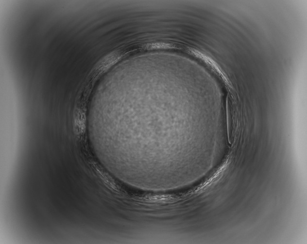 X0000097860833200803211252