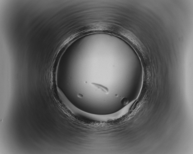 X0000097860834200803211252