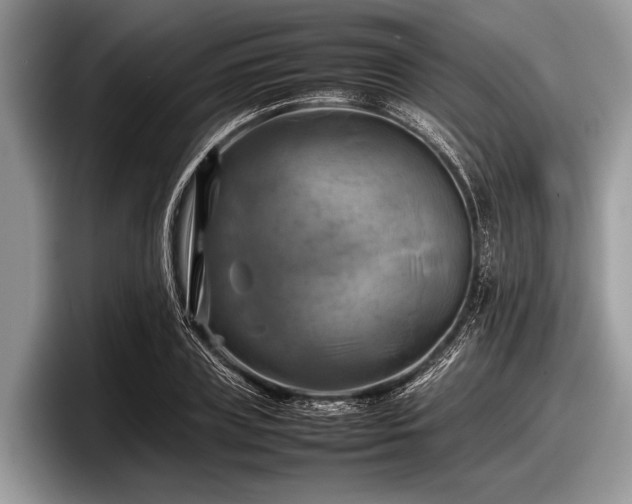 X0000097860835200803211252