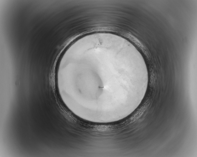 X0000097860836200803211252