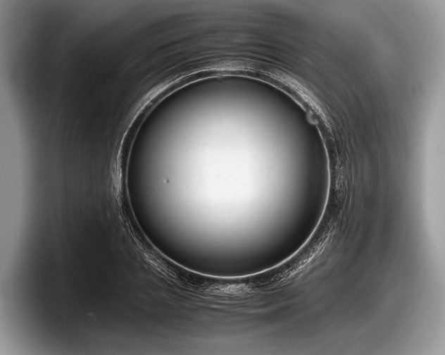 X0000097860837200803211252