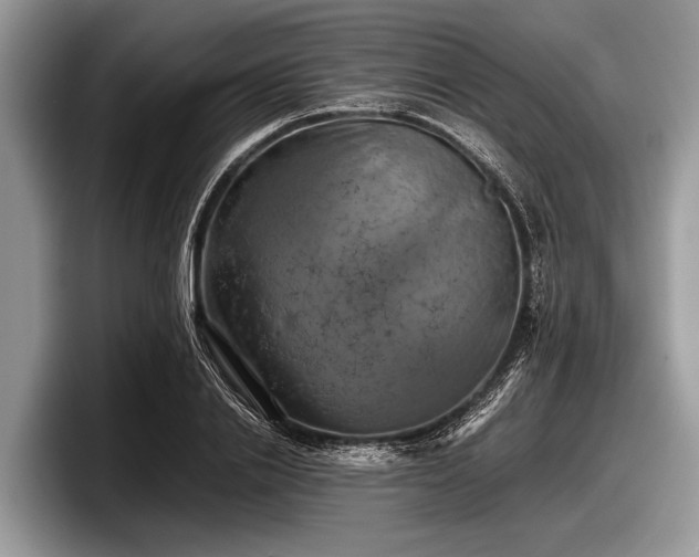 X0000097860838200803211252