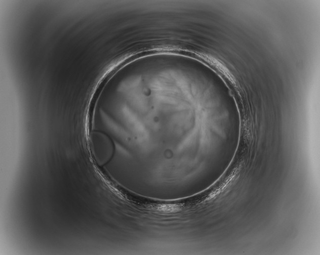 X0000097860839200803211252