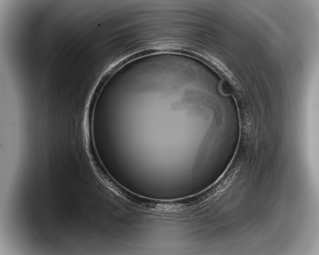 X0000097860840200803211252