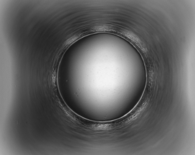 X0000097860841200803211253