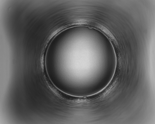 X0000097860842200803211253