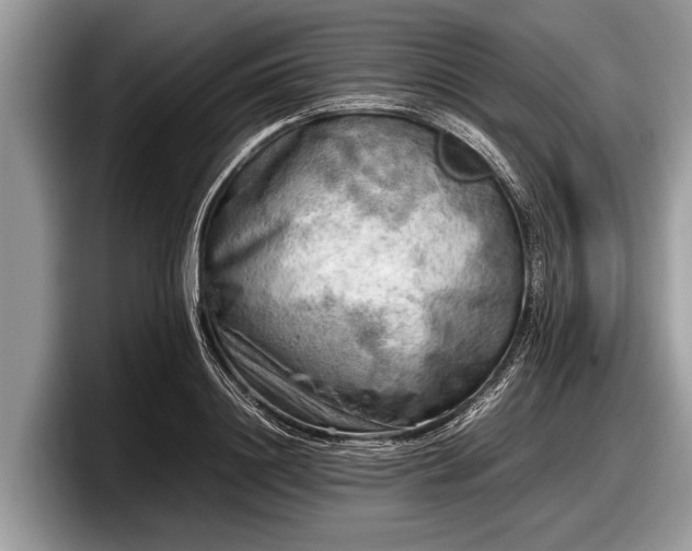 X0000097860844200803211253